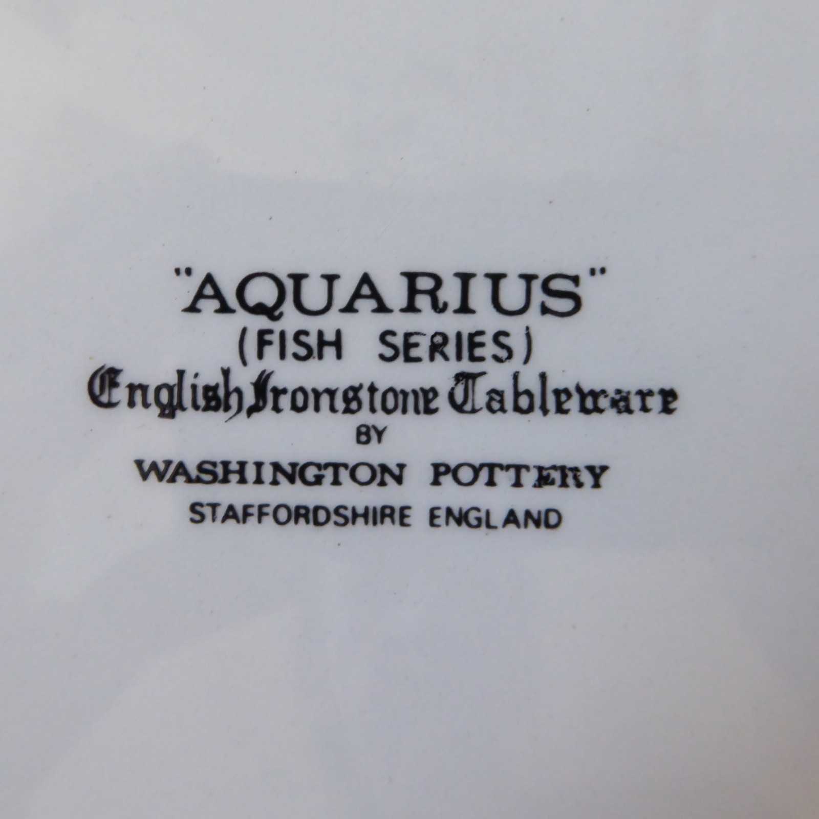 Aquarius fish series Washington Pottery ironstone oval plate platter, beefeater - Image 9